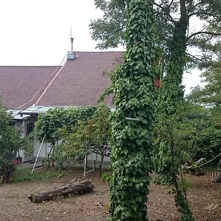 Maison d'hôtes Casuta Lavandei Sfântu Gheorghe