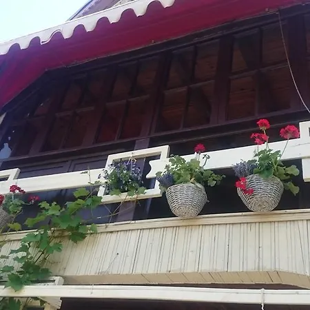 Maison d'hôtes Casuta Lavandei