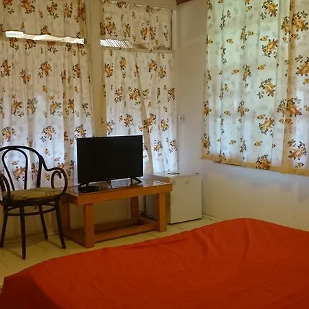 Πανσιόν Casuta Lavandei *