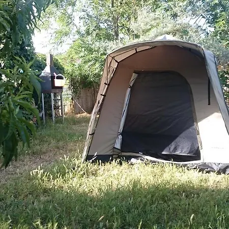 Πανσιόν Casuta Lavandei *